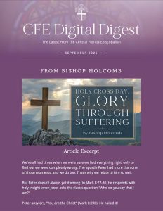 Digital Digest Cover